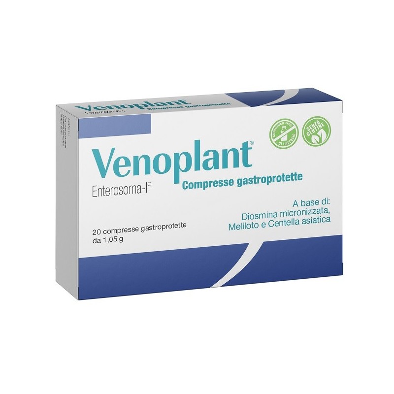 VENOPLANT 20 COMPRESSE