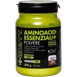 AMINOACIDI ESSENZIALI COLA 300 G