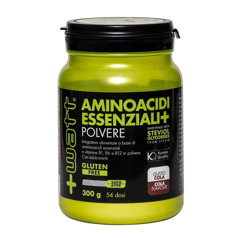 AMINOACIDI ESSENZIALI COLA 300 G