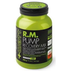 RM PUMP RECOVERY MIX ARANCIA 500 G