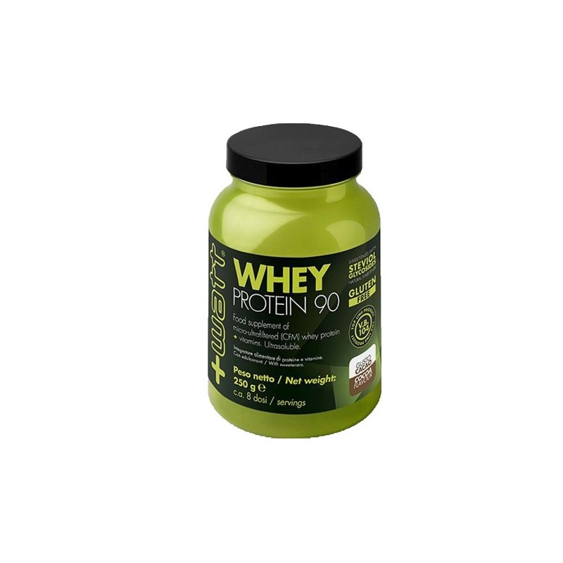WHEY PROTEIN 90 CACAO POLVERE 250 G