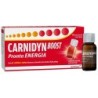 CARNIDYN BOOST 10 FLACONCINI