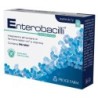 ENTEROBACILLI 10 BUSTINE X 2G