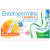 ENTEROGERMINA*OS 20FL 4MLD 5ML