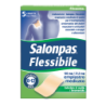 SALONPAS FLESSIBILE*5CER7x10CM